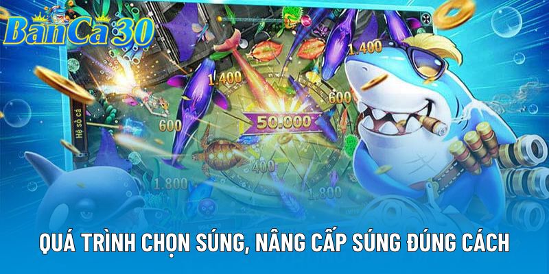 Quá trình chọn súng, nâng cấp súng đúng cách Quá trình chọn súng, nâng cấp súng đúng cách