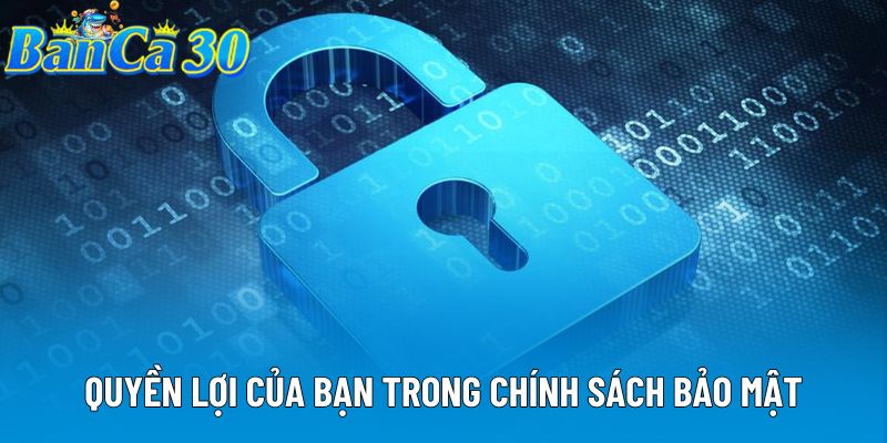Quyền lợi của bạn trong chính sách bảo mật Quyền lợi của bạn trong chính sách bảo mật