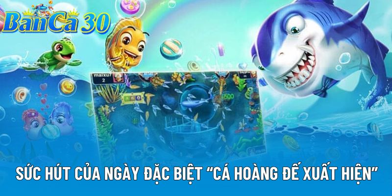 Sức hút của ngày đặc biệt “Cá Hoàng Đế xuất hiện” Sức hút của ngày đặc biệt “Cá Hoàng Đế xuất hiện”